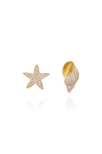 Starfish shell earrings