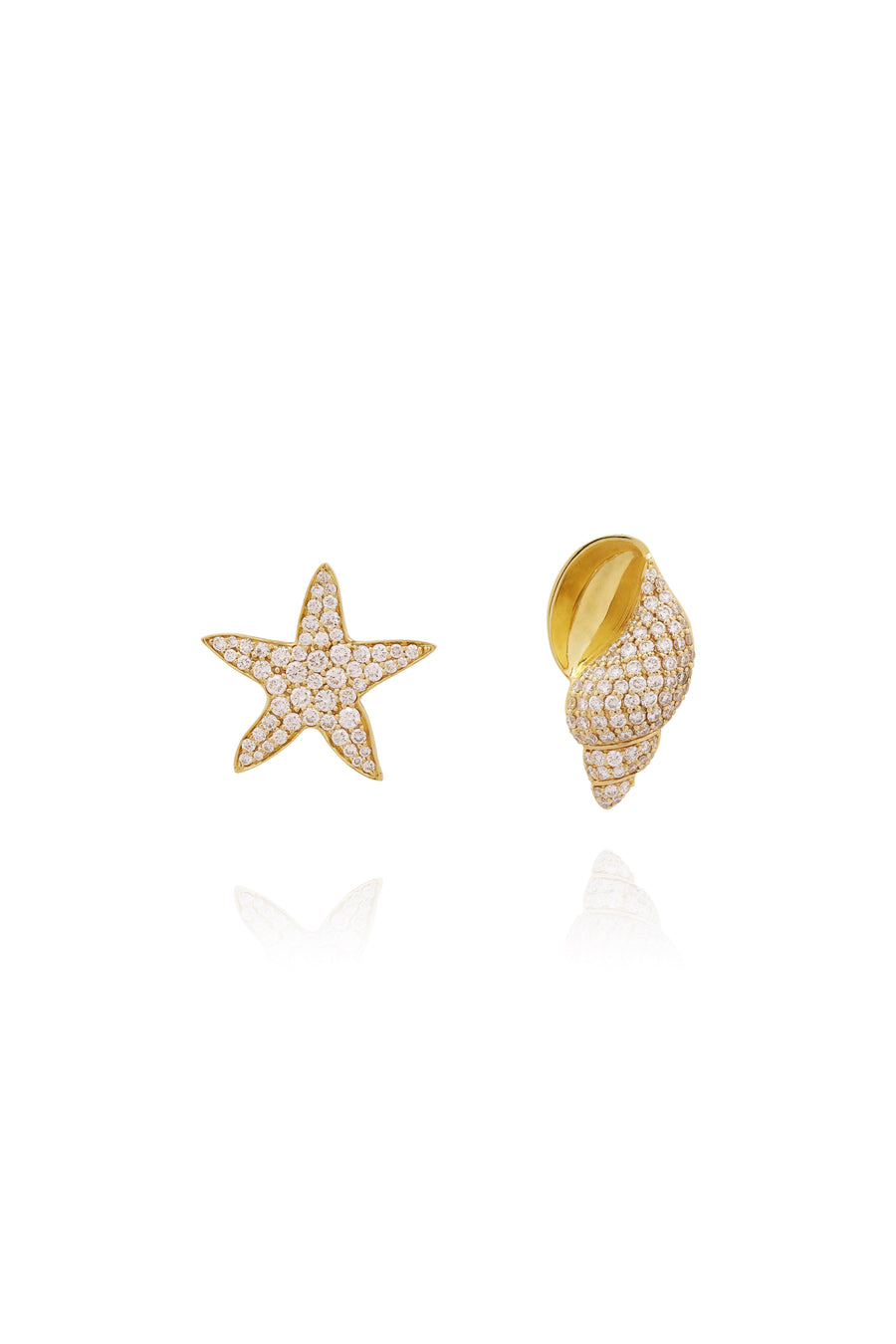 Starfish shell earrings
